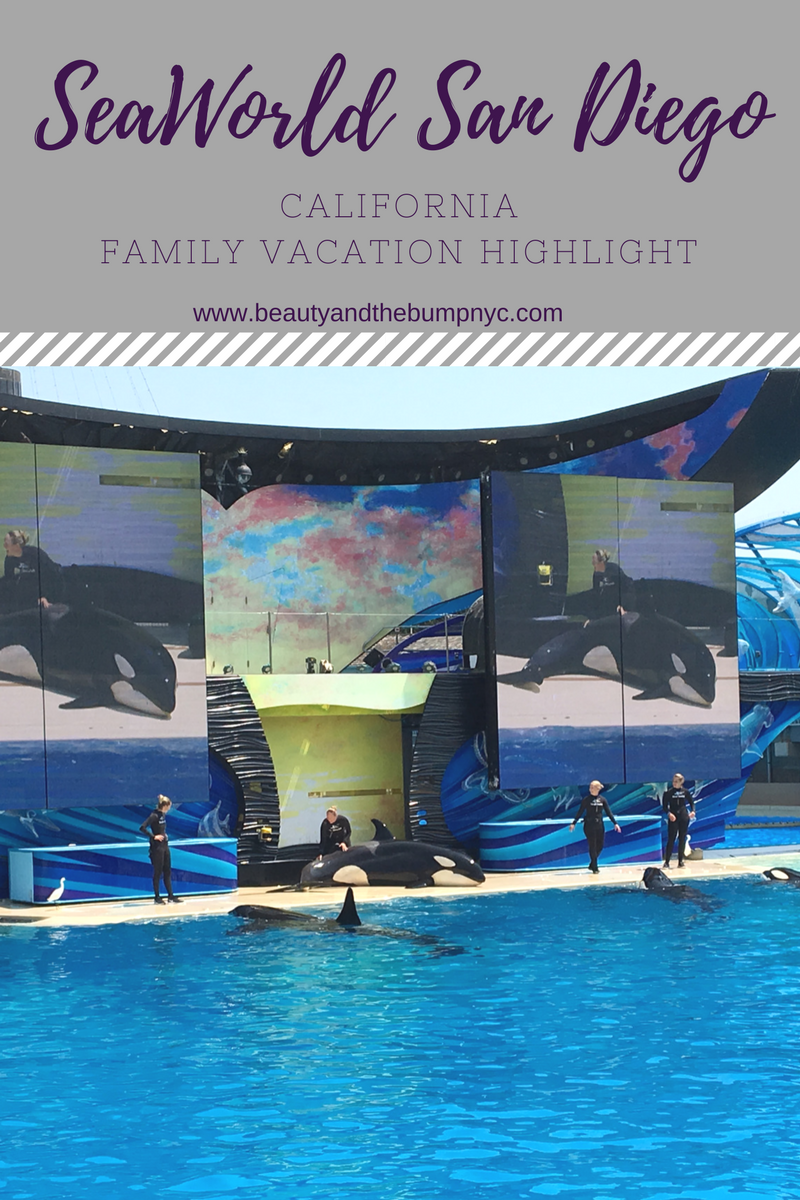 seaworld and universal studios vacation packages