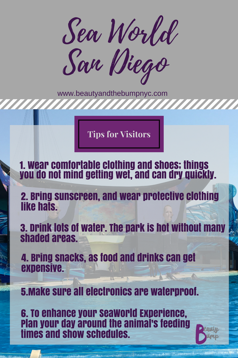SeaWorld San Diego Tips for Visitors