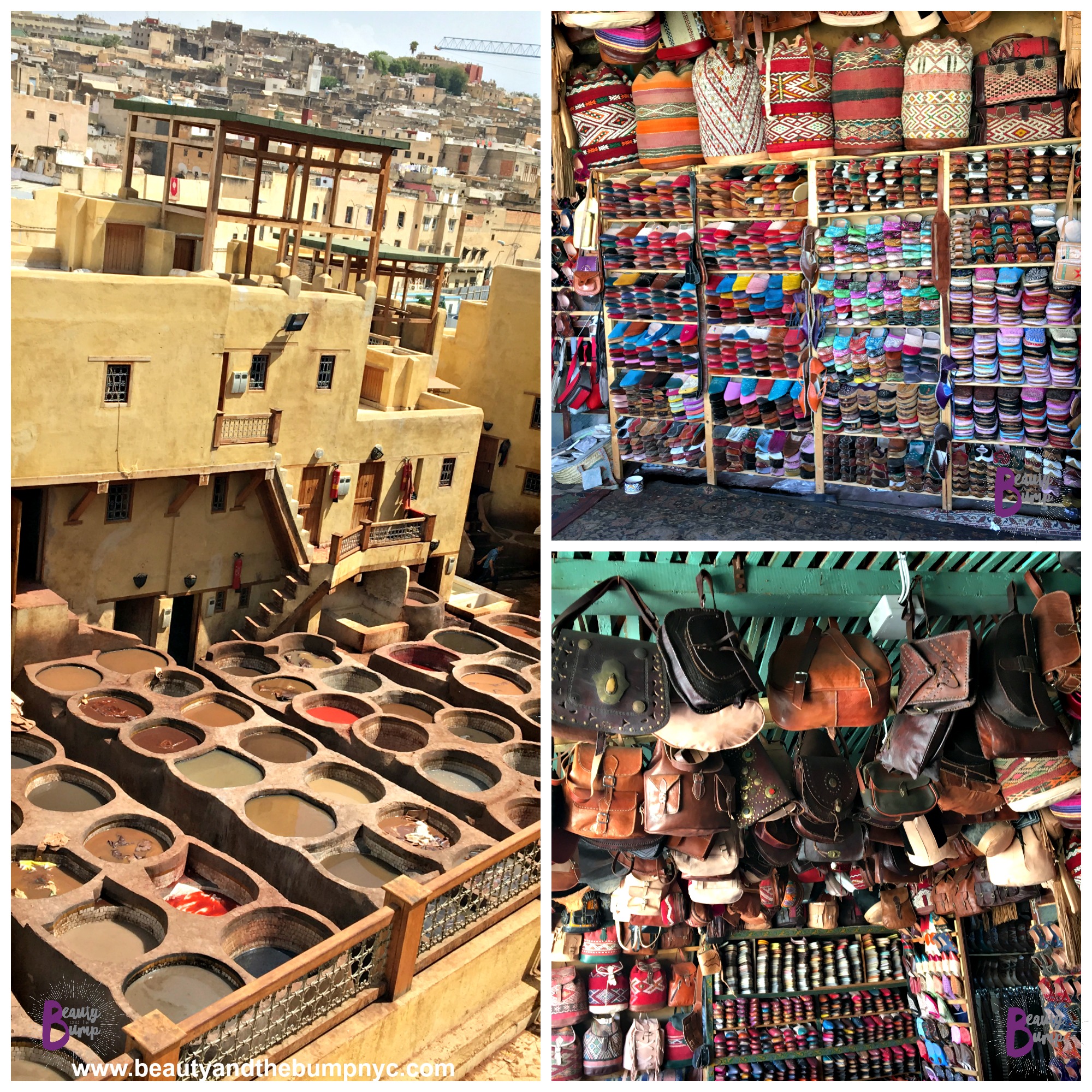 Moroccan Shopping Leather Tannery in Fez