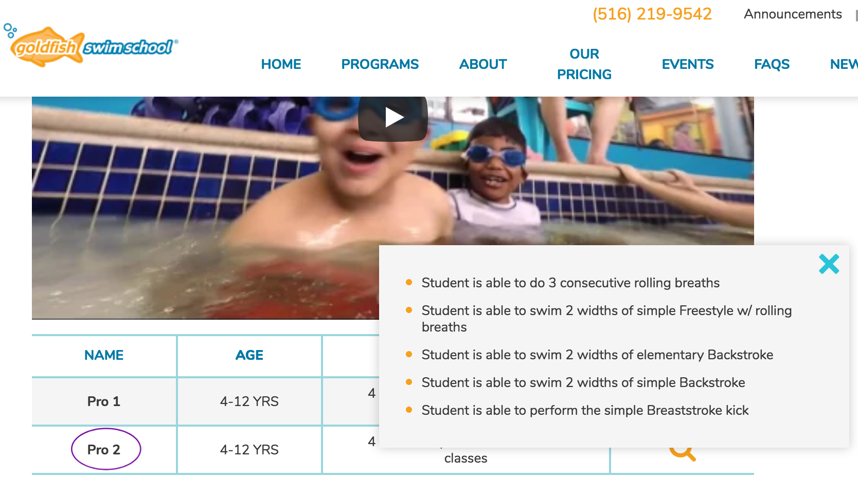 Goldfish Swim School Pro 2 Class Description.