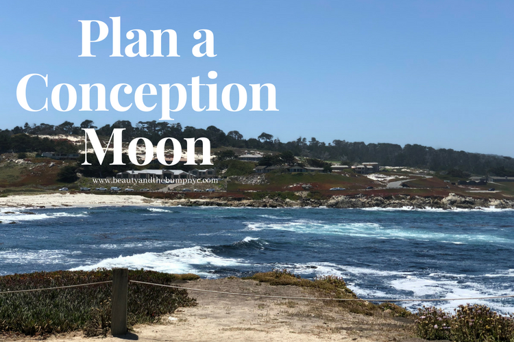 Trying to Conceive_ Plan a Conception Moon