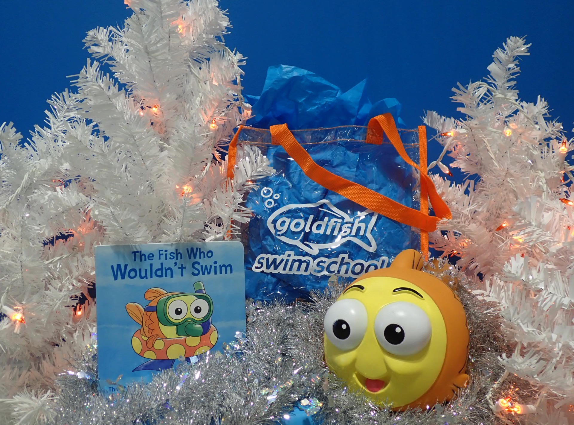 Goldfish Swim School Swim Holiday Gift Package