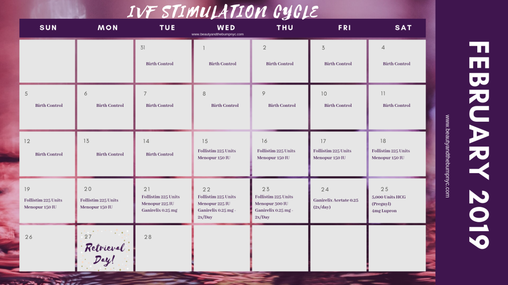 Sample IVF Cycle Calendar featuring medications