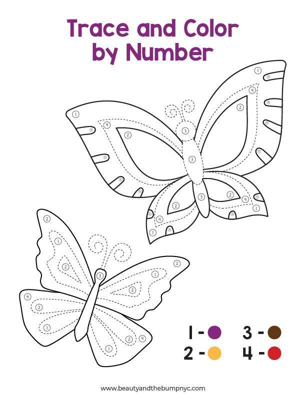 Trace and color by number mindfulness activity. 