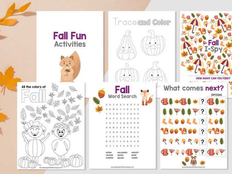 Too cold or wet outside? These fall activities for kids are a great way to entertain your kids and teach them about this very unique season.