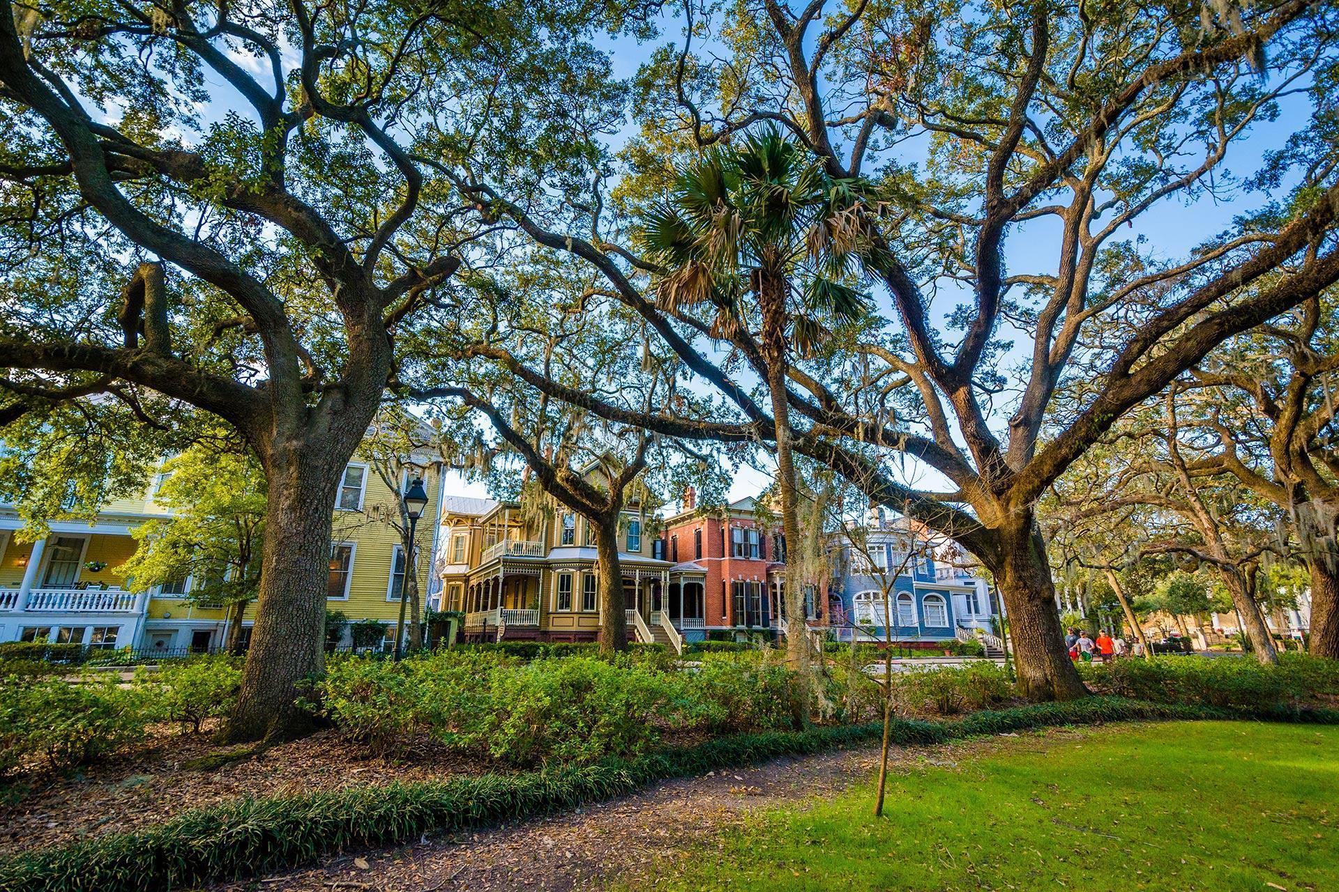 A green-space park in Savannah, GA.
