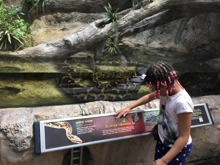 It's National Zoo and Aquarium Month! I wanted to share some of our family's favorites that we've encountered along our travels!