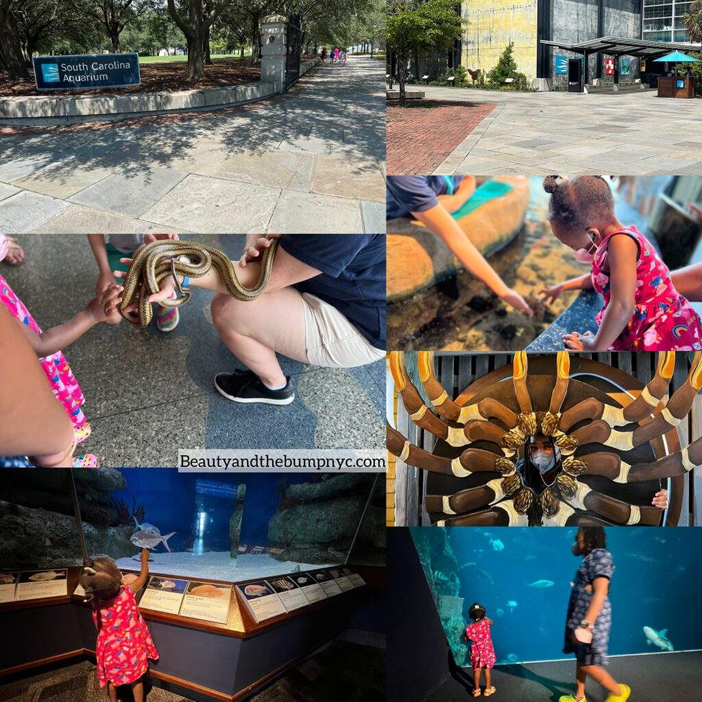 Kids enjoying the South Carolina aquarium