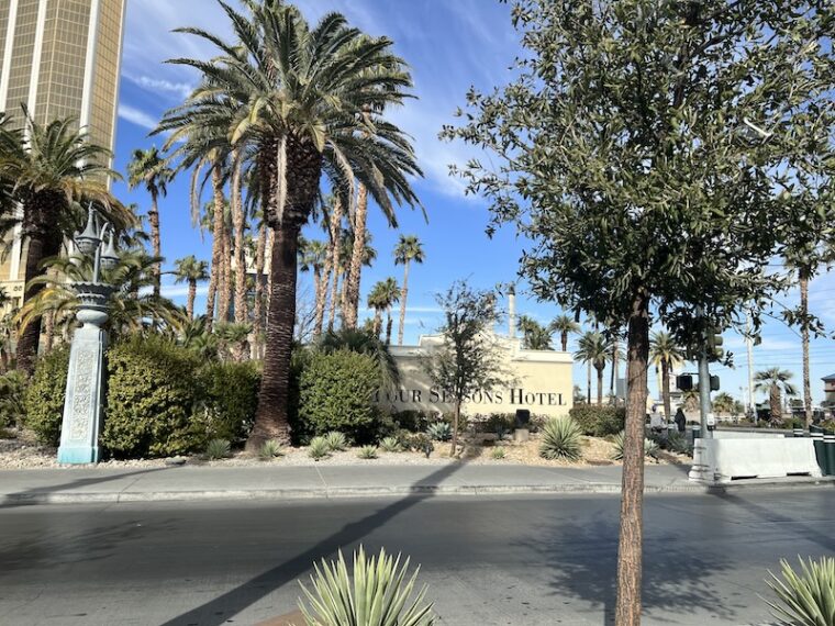 Four Seasons Las Vegas entrance with palm trees - AMEX Fine Hotels and Resorts luxury property